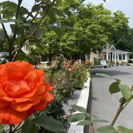 キャッシェル Copperfield House Bed & Breakfast エクステリア 写真